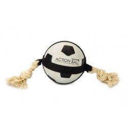 Beeztees Action Ball