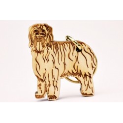 Briard-avaimenperä