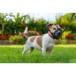 Baskerville Ultra Muzzle